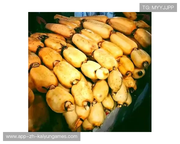 ¦ó+¡-+Àµ¤¯È-Î¬-Û++ú¼-²¥¦+»¦¦¦¾-Ã¦Õ¤Á